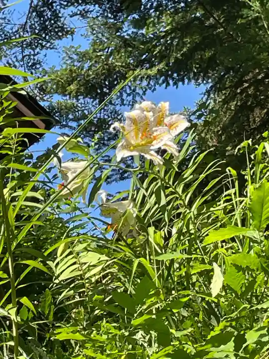 国上寺(新潟県)