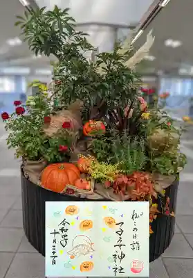 ☆令和4年 猫の日😺御朱印10月☆