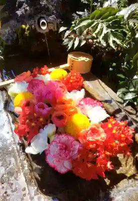 本郷氷川神社(東京都)