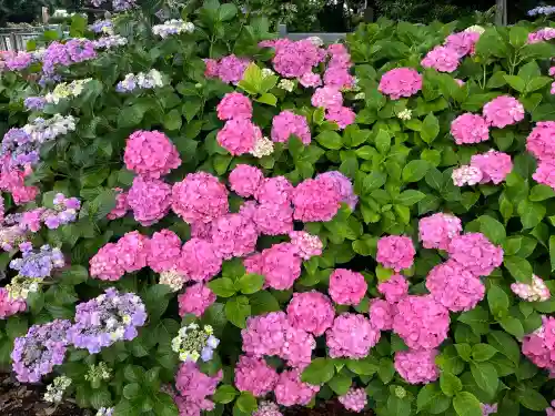 酒見神社(愛知県)