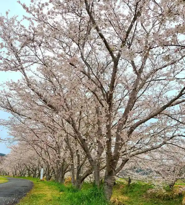 雨櫻神社(静岡県)