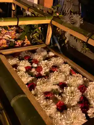 津島神社の手水舎