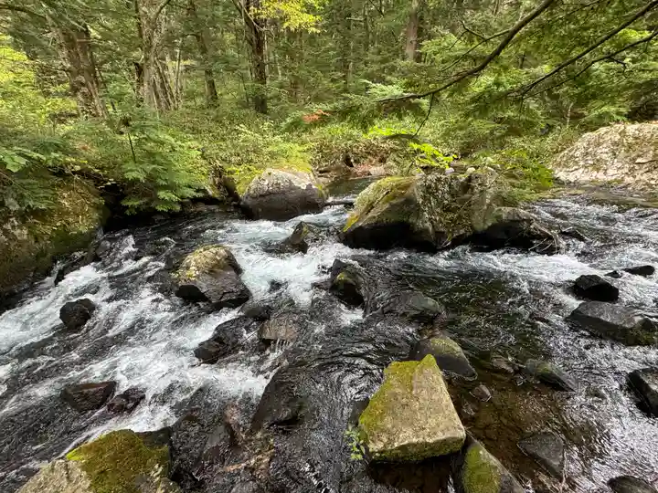 穂高神社奥宮の自然