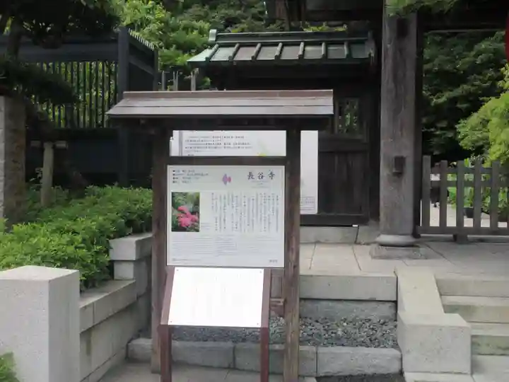 長谷寺(神奈川県)