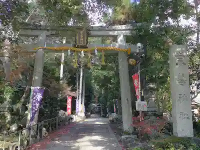 崇道神社の鳥居