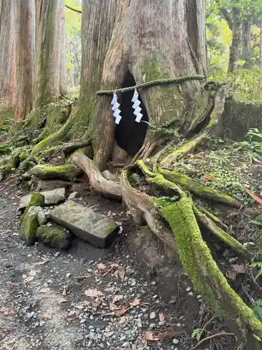 戸隠神社奥社(長野県)