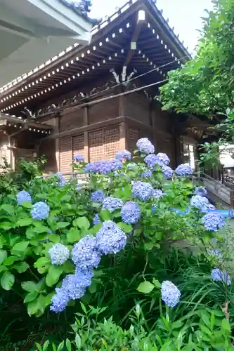 白山神社の本殿・本堂