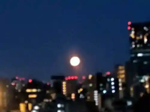 高円寺氷川神社の景色