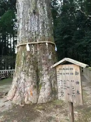 霧島神宮(鹿児島県)