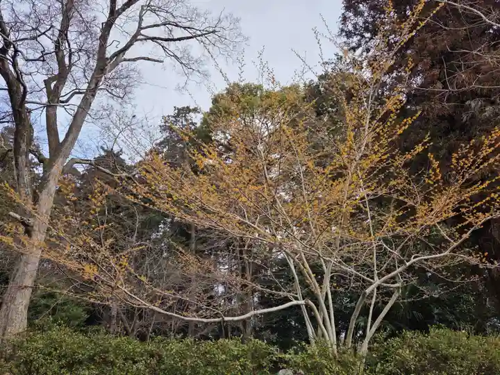 沙沙貴神社(滋賀県)