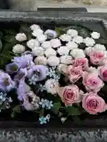 総願寺の手水舎