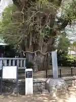 鶴嶺八幡宮の自然