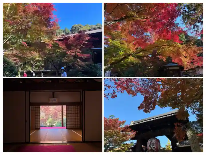 金剛輪寺(滋賀県)