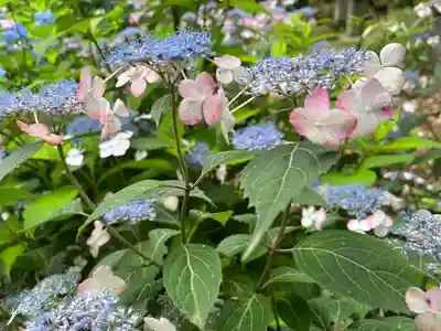 赤城神社(群馬県)