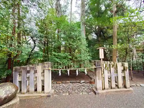 鶴岡八幡宮の自然