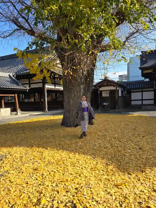 佛光寺(京都府)