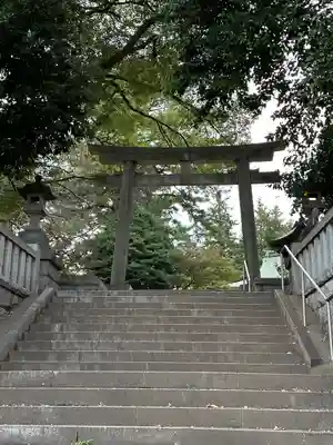 野毛六所神社(東京都)