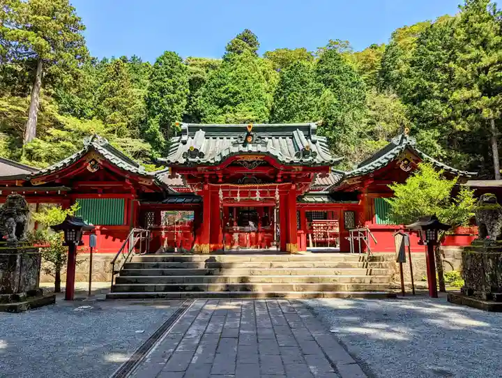 箱根神社の本殿・本堂