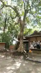 氷川女體神社(埼玉県)