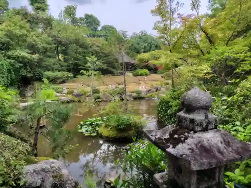 退蔵院(京都府)