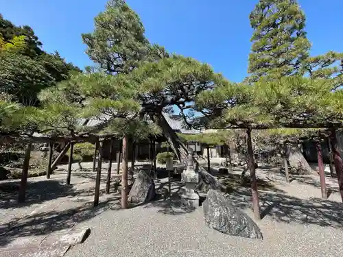 慈眼院(滋賀県)