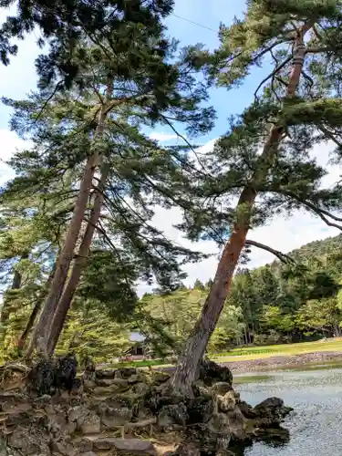 毛越寺(岩手県)