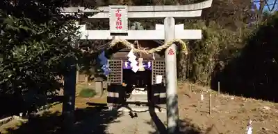 長沼八幡宮(栃木県)