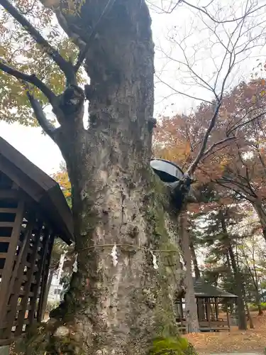 川中島古戦場八幡社(長野県)