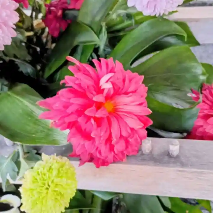 彌彦神社 (伊夜日子神社)(北海道)