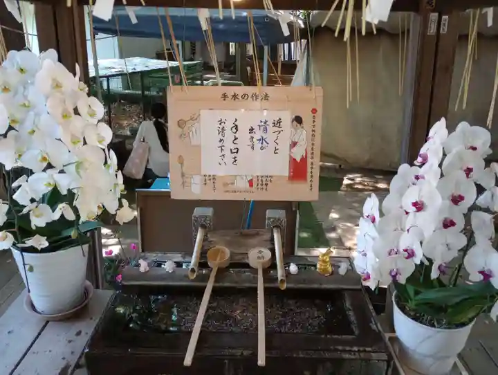 豪徳寺(東京都)