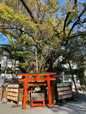 富知六所浅間神社(静岡県)