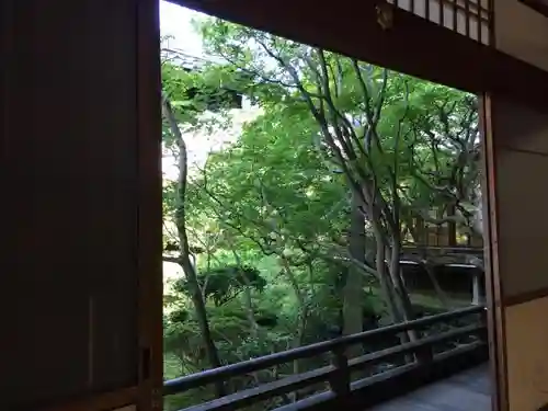 禅林寺（永観堂）の庭園