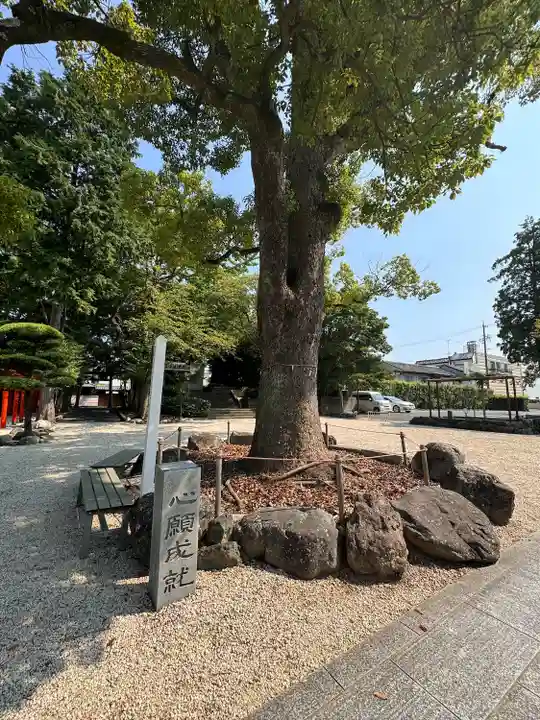 久居八幡宮(野邊野神社)(三重県)