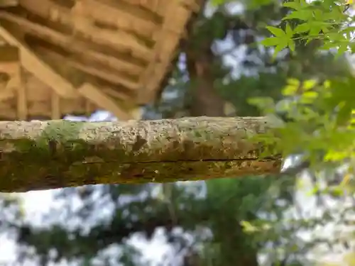 竹林寺の建物その他