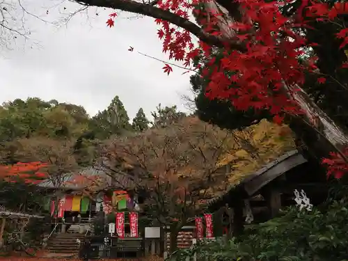 今熊野観音寺(京都府)