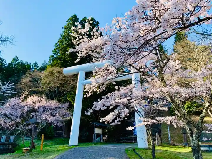 土津神社|こどもと出世の神さまの鳥居