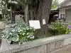 飛木稲荷神社(東京都)