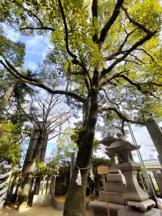 空鞘稲生神社の自然
