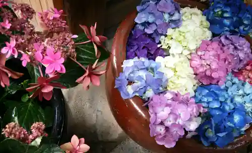 菅生神社の手水舎