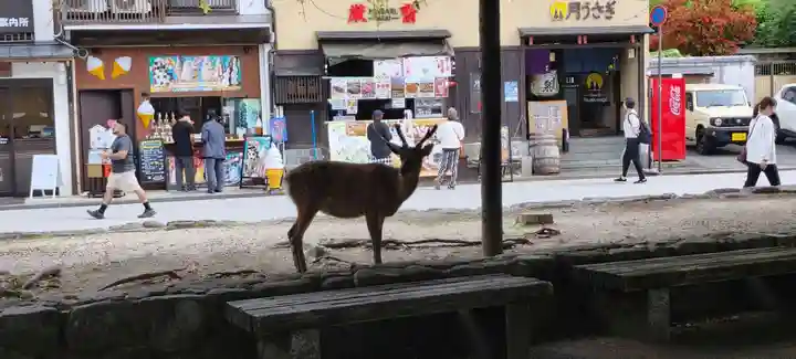 厳島神社(広島県)