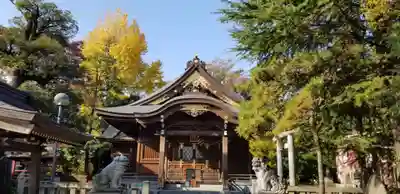日枝神社の本殿・本堂