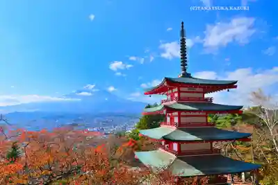 新倉富士浅間神社(山梨県)
