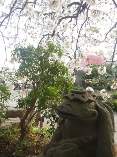 常泉寺(神奈川県)