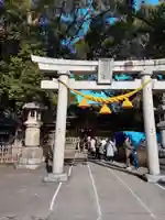 野田八幡宮の鳥居