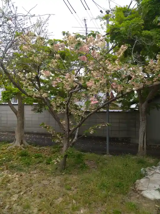 城山稲荷神社の自然