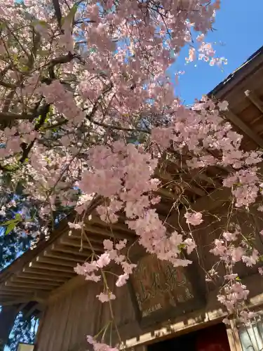 光丸山 法輪寺(栃木県)
