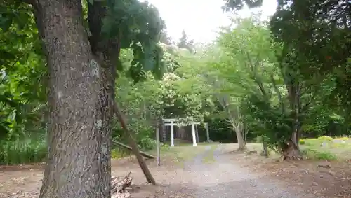 忠栄金刀比羅神社のその他建物