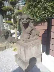 太田杉山神社・横濱水天宮の狛犬