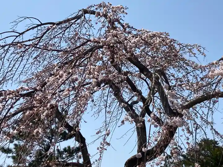 日枝神社(静岡県)