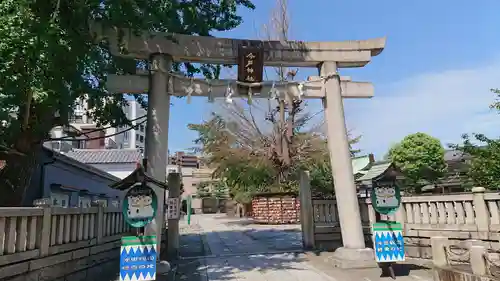 今戸神社の鳥居